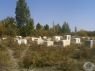 Ormi-Babari-02
