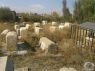 Ormi-Babari-03