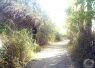 Ormi-Babari-05