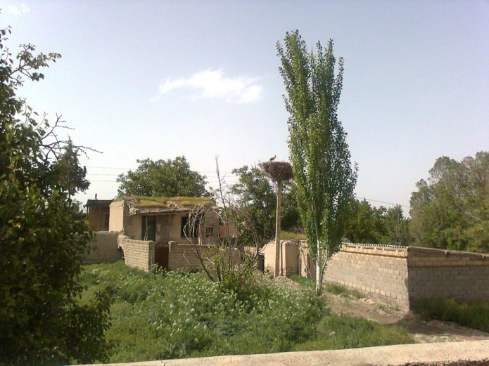 Ormi-Eryawa-01